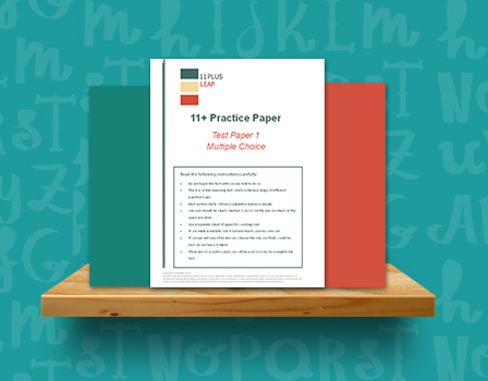 11 PLUS LEAP LTD